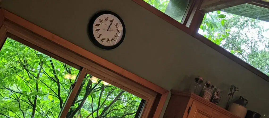 Window Replacement O'Fallon IL