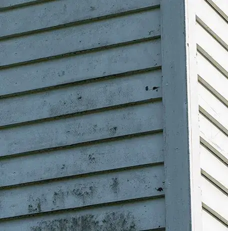 new siding installation after rottting